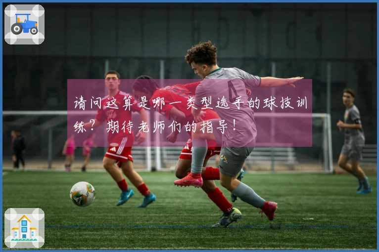 请问这算是哪一类型选手的球技训练？期待老师们的指导！