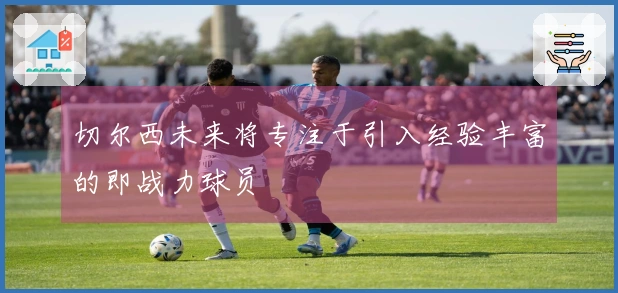 切尔西未来将专注于引入经验丰富的即战力球员