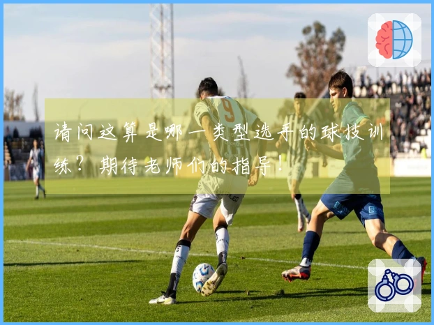 请问这算是哪一类型选手的球技训练？期待老师们的指导！